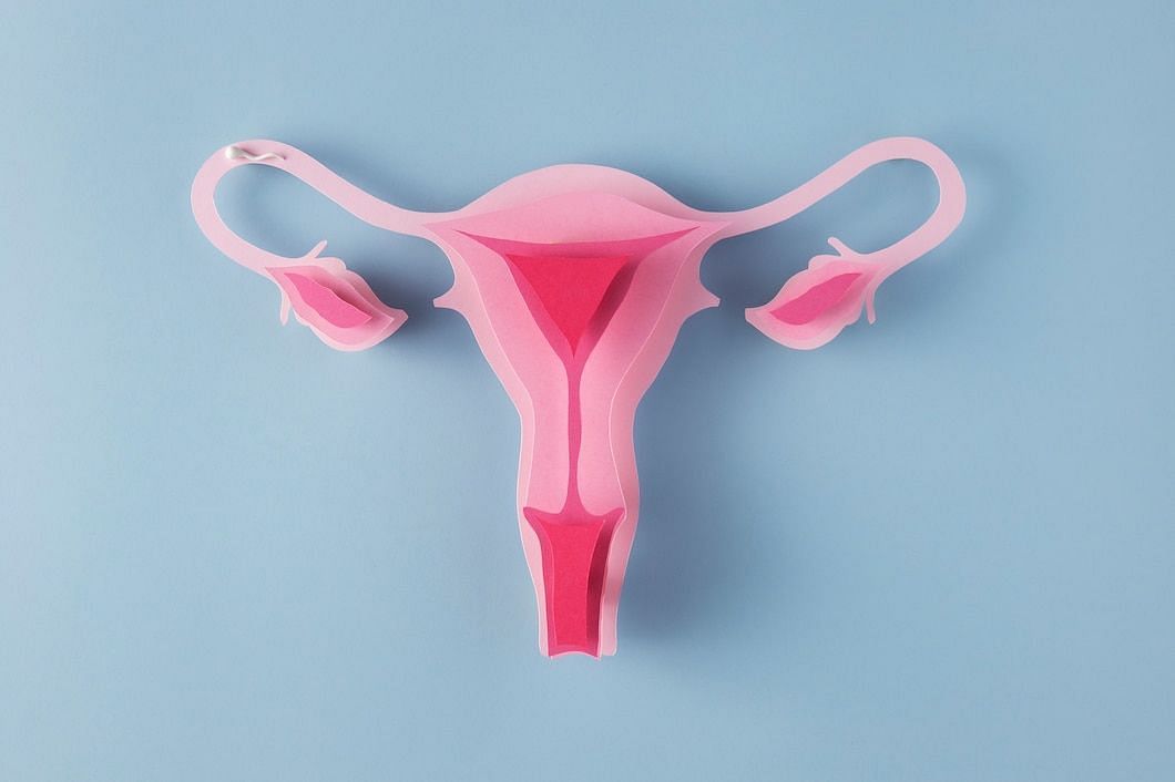 common symptoms include vaginal bleeding, abdominal pain etc (Image via Freepik)